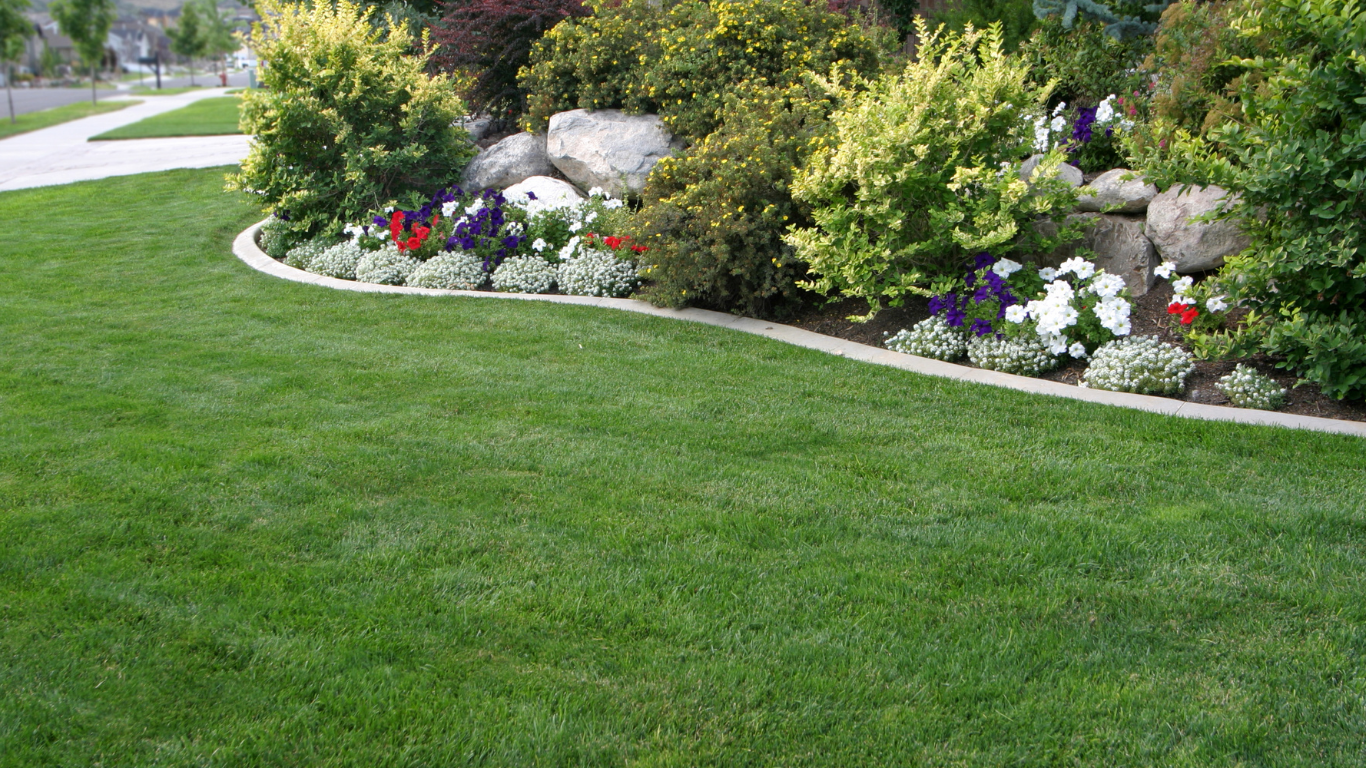 untitled design (84)