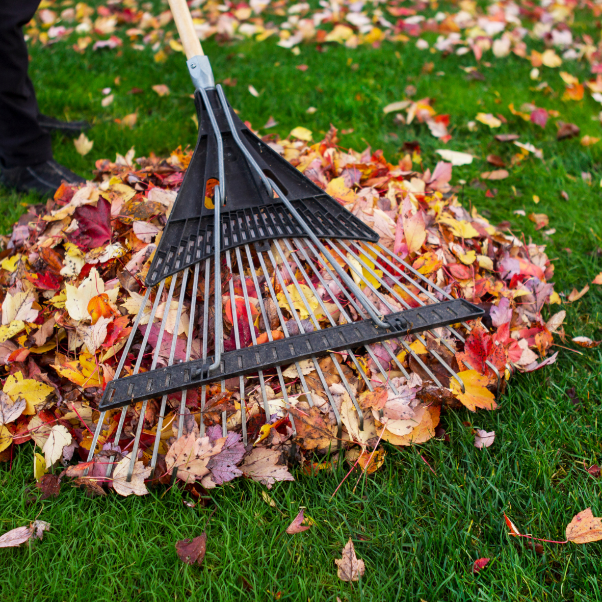 quick cut landscaping (10)